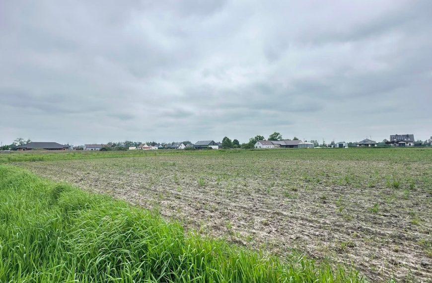 Działka o powierzchni 14,13 ara – Czarnowąsy