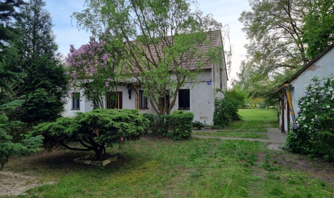 Galeria nieruchomości