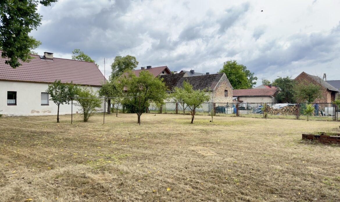Galeria nieruchomości
