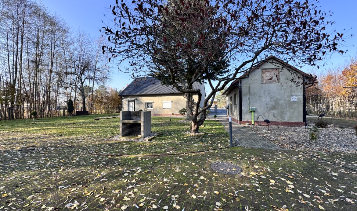 Galeria nieruchomości