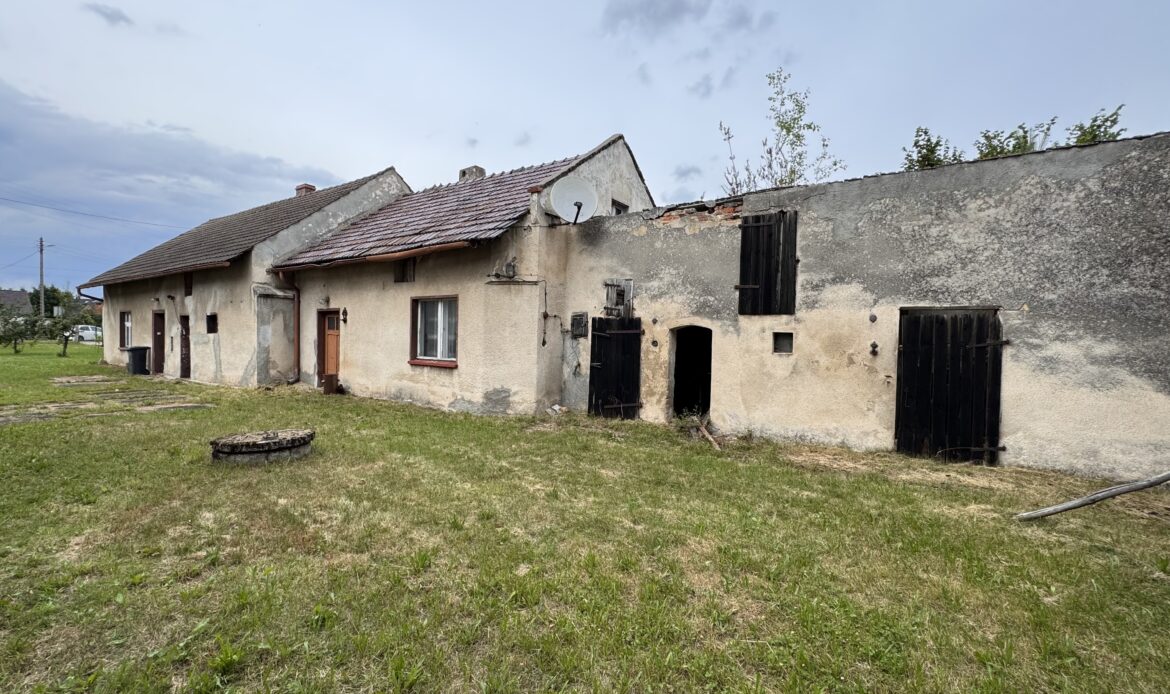 Galeria nieruchomości