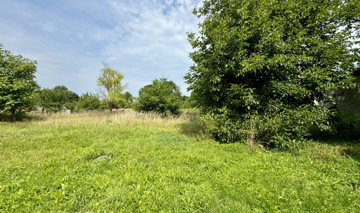 Galeria nieruchomości