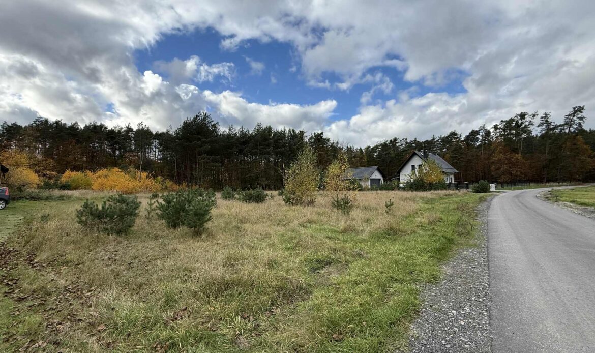 Galeria nieruchomości