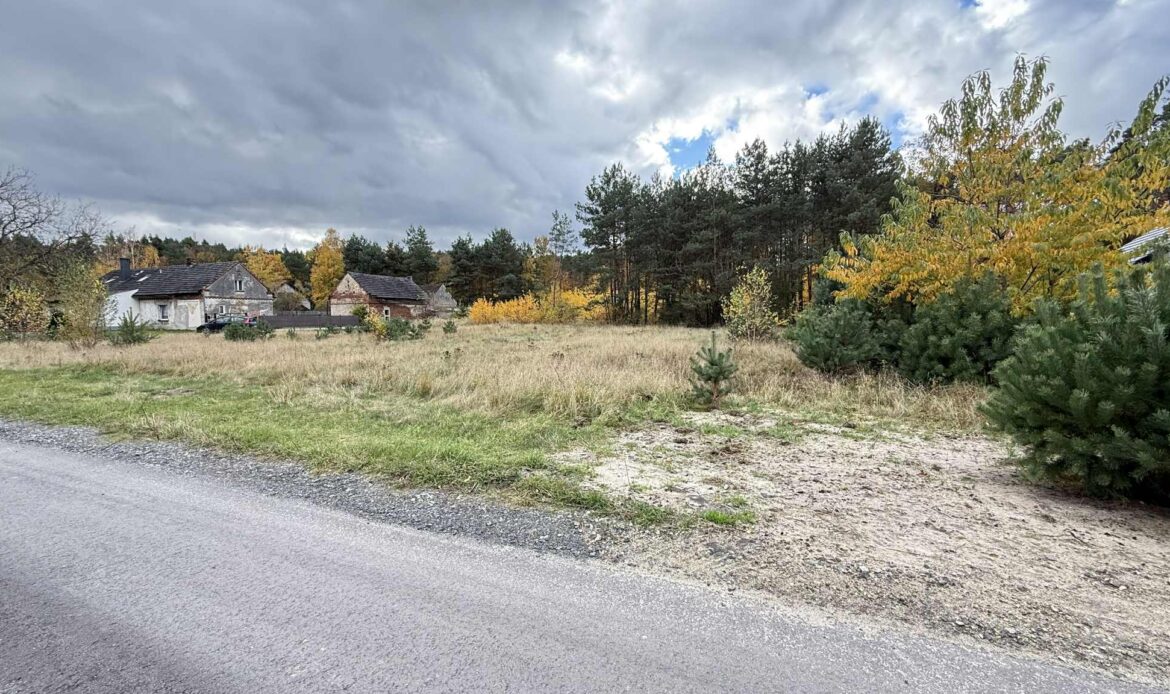 Galeria nieruchomości