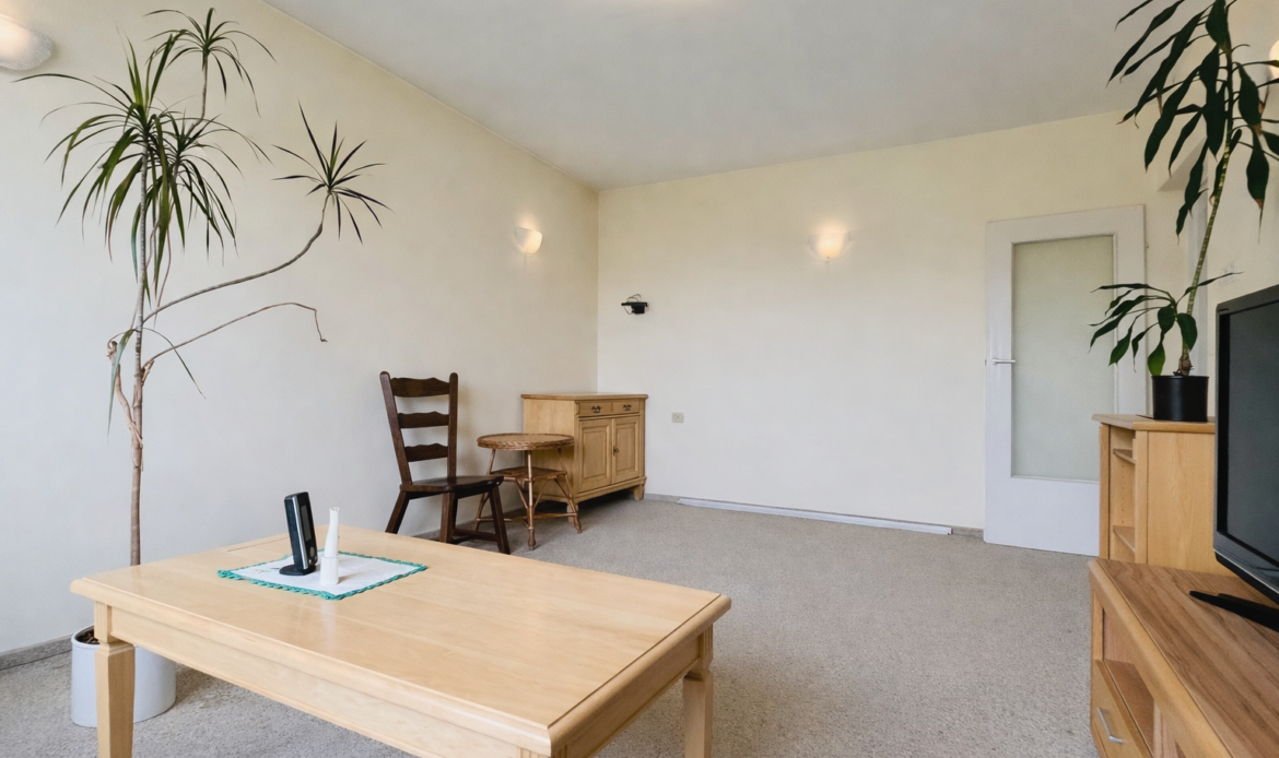 Galeria nieruchomości