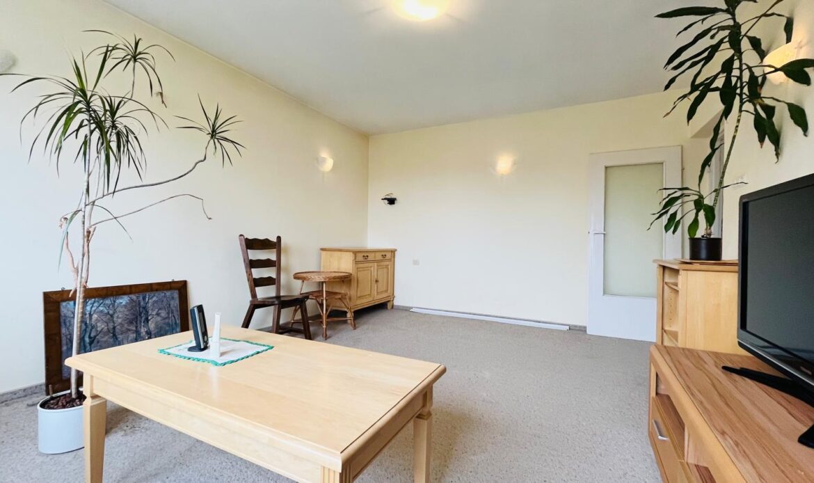 Galeria nieruchomości