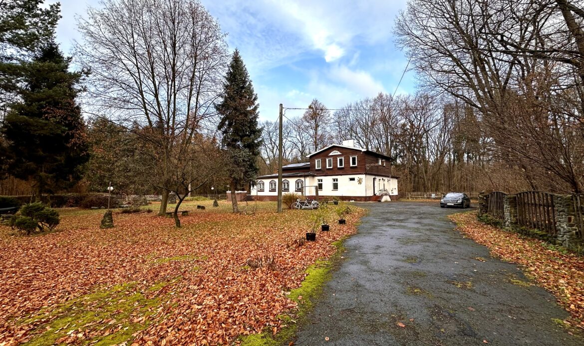 Strona główna - Lokal na wynajem | 430m2 | 53 ary | Głubczyce – Las