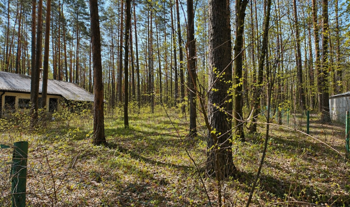 Galeria nieruchomości