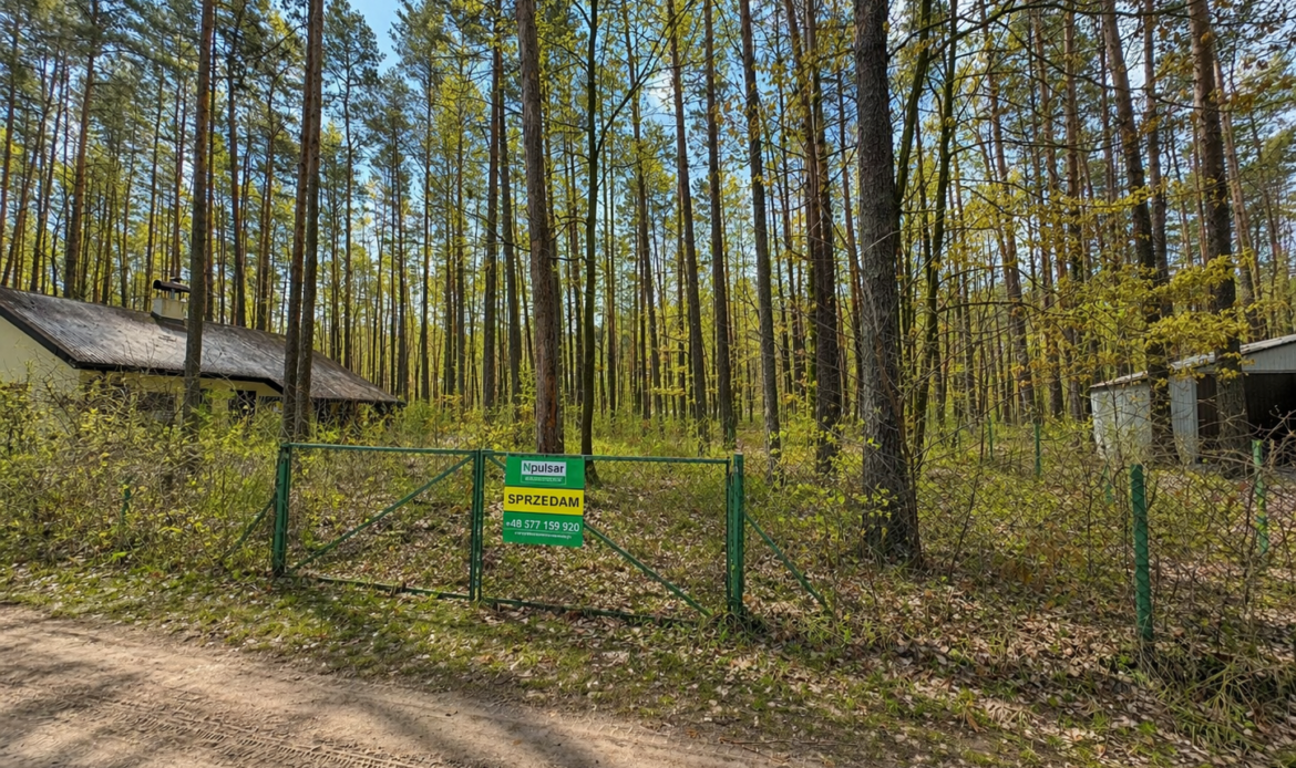 Galeria nieruchomości