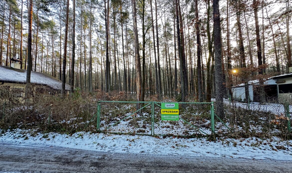 Galeria nieruchomości