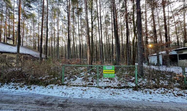 Działka letniskowo-wypoczynkowa przy ul. Leśnej w Turawie – blisko Dużego Jeziora Turawskiego