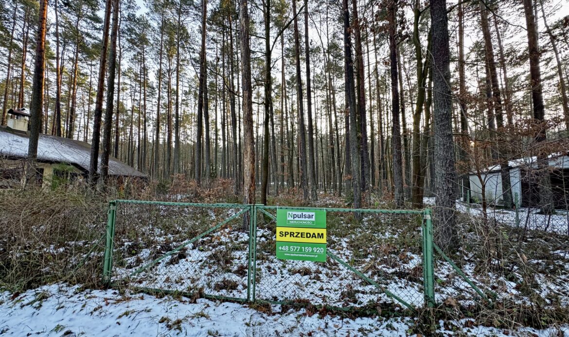 Galeria nieruchomości