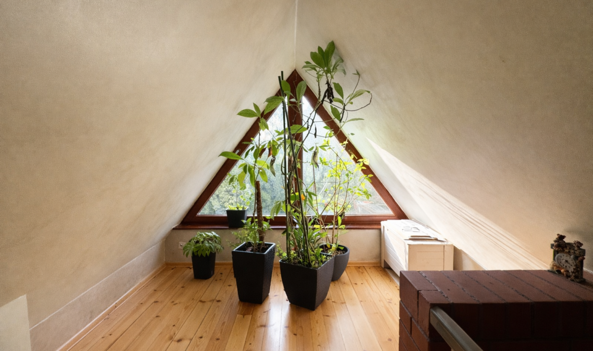 Galeria nieruchomości