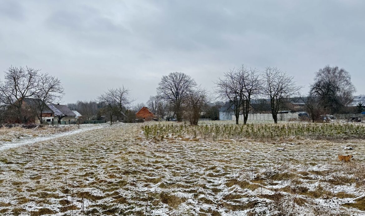 Galeria nieruchomości