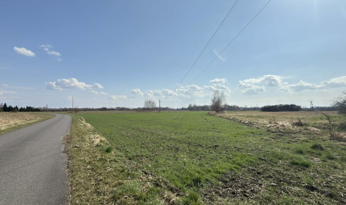 Galeria nieruchomości