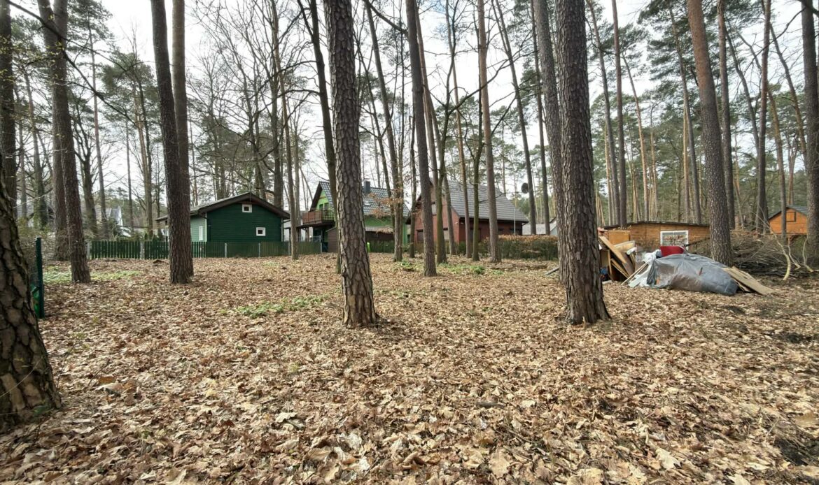 Galeria nieruchomości