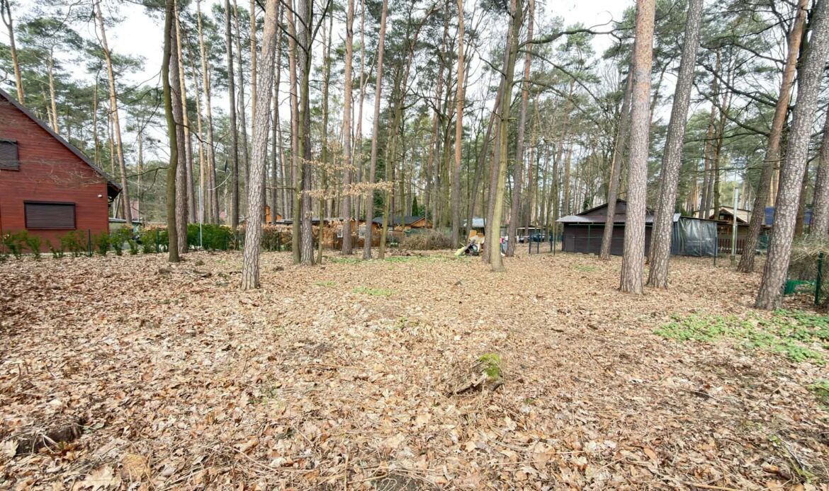 Galeria nieruchomości