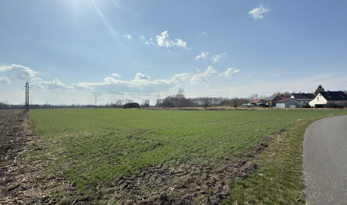 Galeria nieruchomości