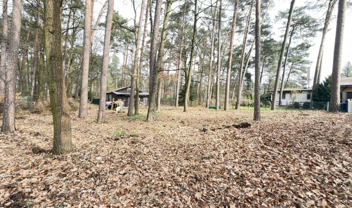 Galeria nieruchomości