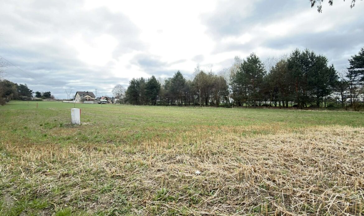 Galeria nieruchomości