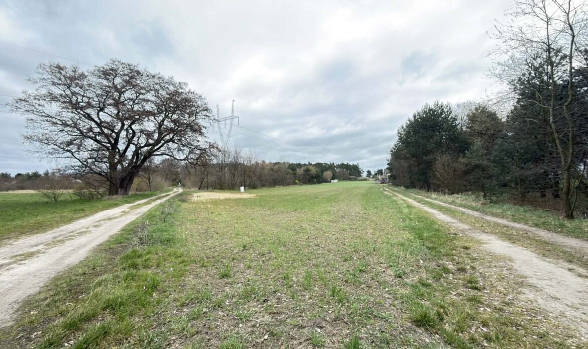 Galeria nieruchomości