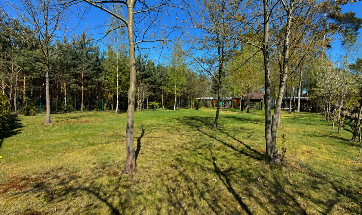 Galeria nieruchomości