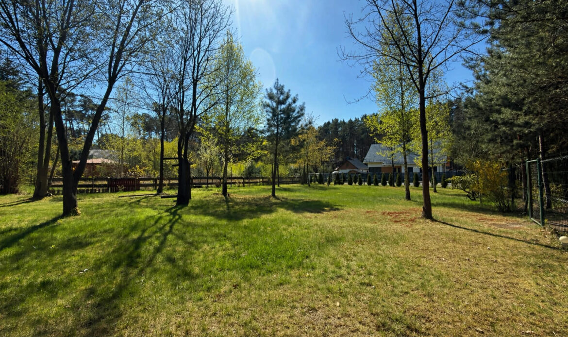 Galeria nieruchomości