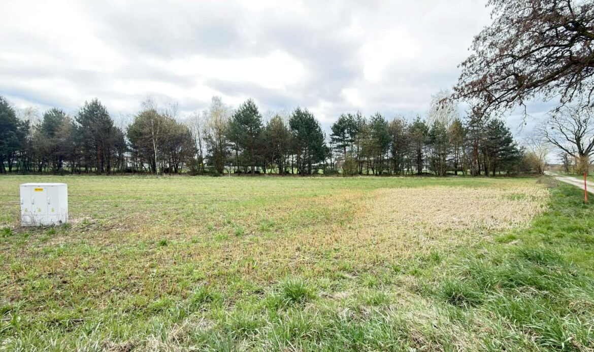 Galeria nieruchomości