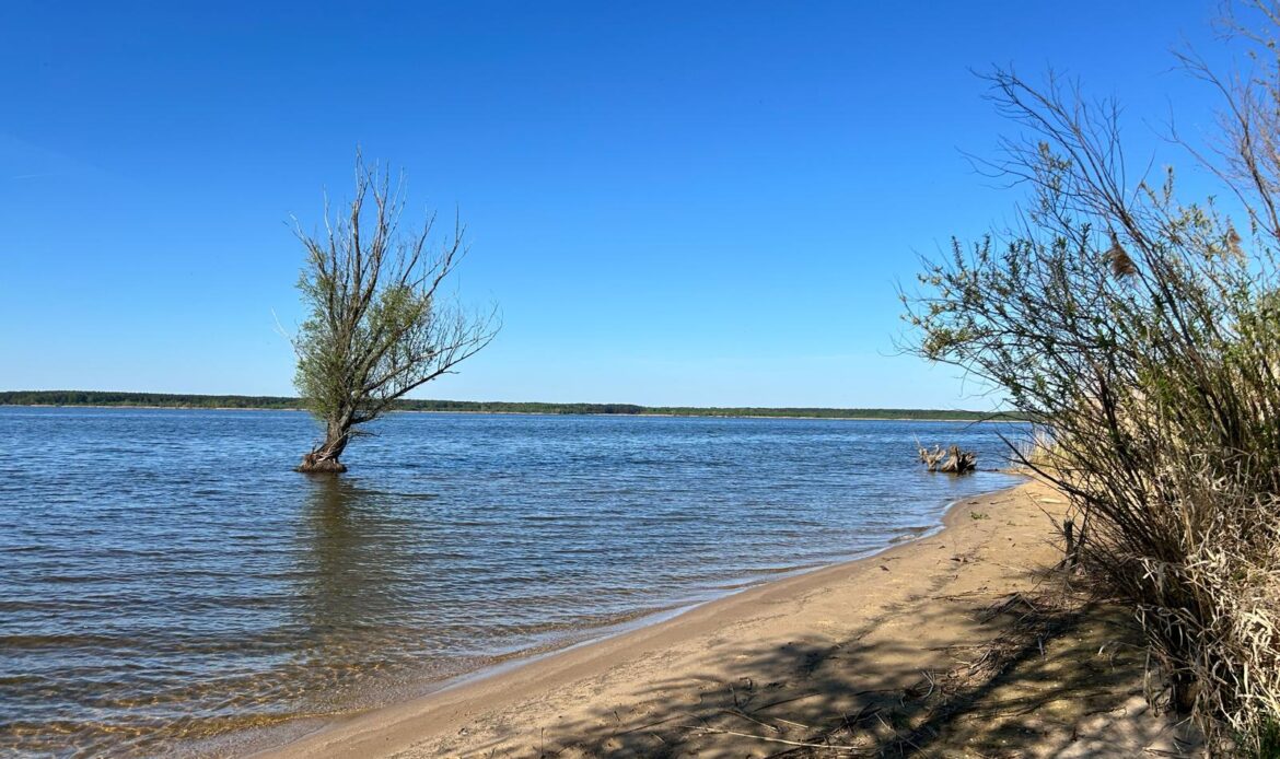 Galeria nieruchomości