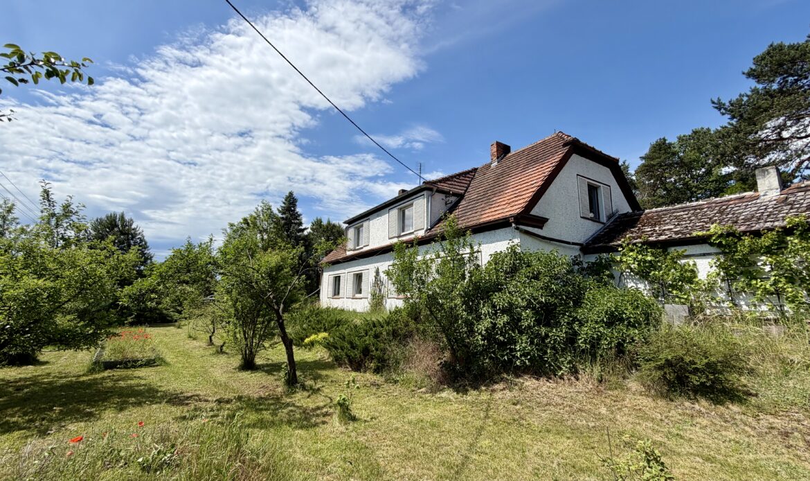 Galeria nieruchomości