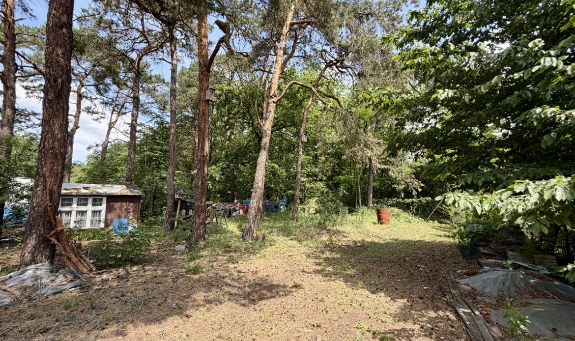 Galeria nieruchomości
