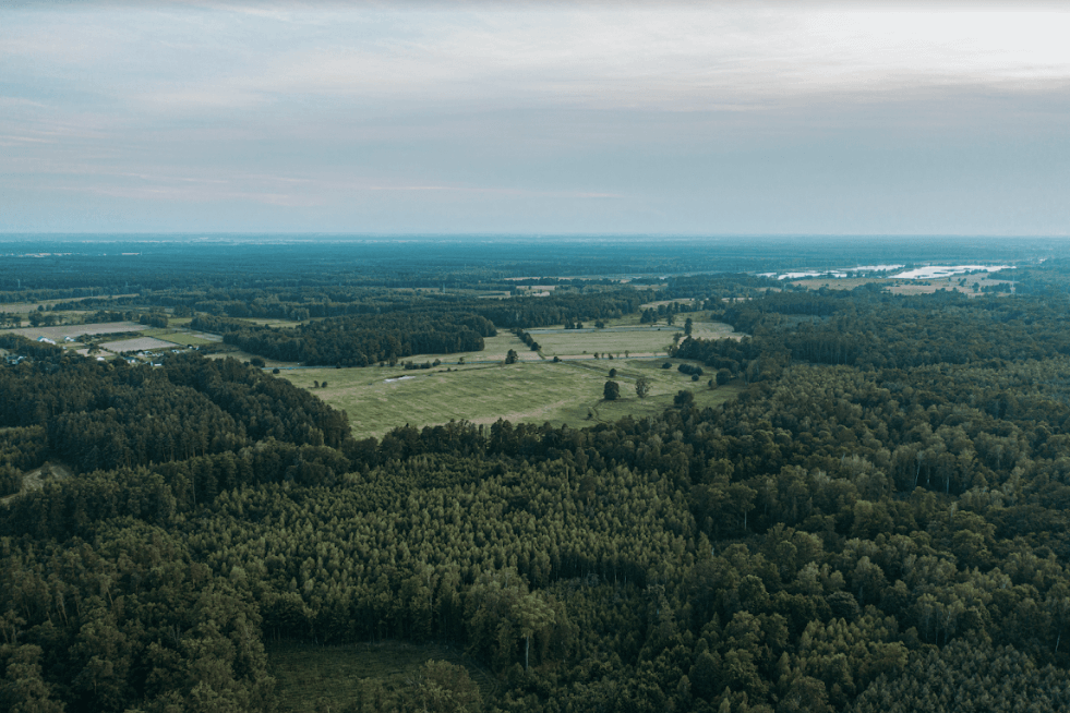 Galeria nieruchomości