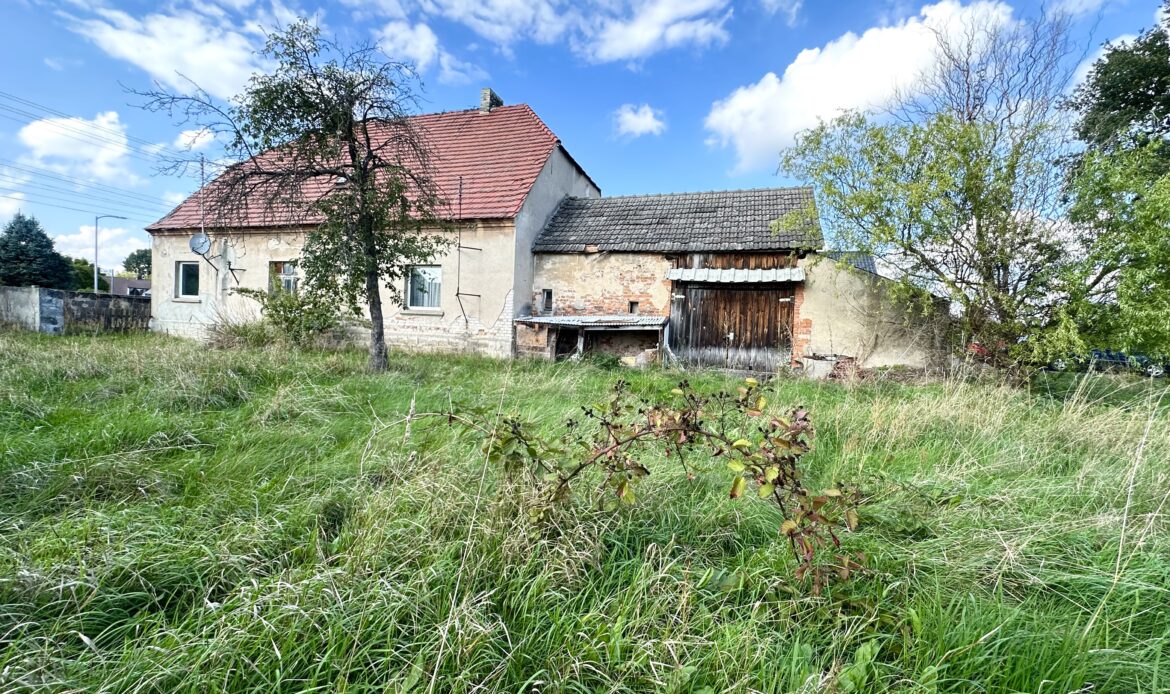 Galeria nieruchomości